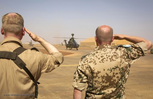 Tigre-Mali-003