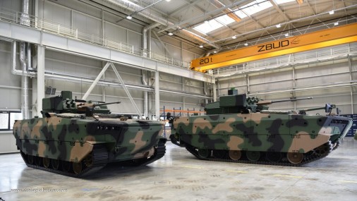 Borsuk_vci_Pologne_2025_A202