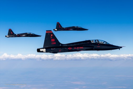 T-8_Talon_avion_USA_A101_Agressor